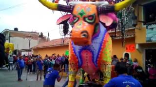 Desfile de toros Pirotecnicos [upl. by Notnarb]