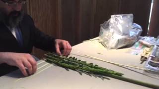 How to assemble A Lulav  Minhag Chabad [upl. by Mokas]