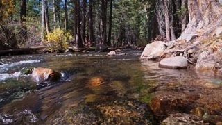 Calming views by the creek near Tioga Pass on the way to Yosemite Park [upl. by Yniar]