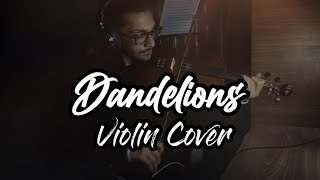 Dandelions  Violin Cover [upl. by Ivanna]