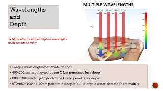 KLASER WEBINAR Photobiomodulation and optimal results with laser therapy [upl. by Ellevehc]