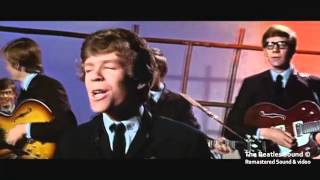 HERMANS HERMITS  Im Into Something Goodwmv [upl. by Janeczka658]