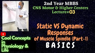 3 LIVE Static VS Dynamic Responses of Muscle Spindle Part1 the BASICS 2ndyearmbbs mbbs [upl. by Nahtan727]