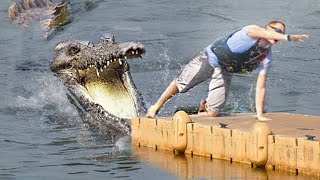 If You’re Scared of Crocodiles Don’t Watch This [upl. by Sylvanus]