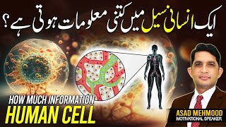 How Much DNA is in Your Body A Simple Explanation of Human Biology  Dr Asad Mehmood [upl. by Yaj]