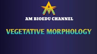 CHAPTER  3 VEGETATIVE MORPHOLOGY [upl. by Alidis]