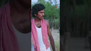 Ennanga paiyana apdiye vittutu poringa mundhanaimudichu bhagyaraj urvashi comedyscenes shorts [upl. by Ballou]