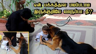 என் பக்கத்துல பயப்படாம இருக்குறியே யாருப்பா நீ🤔🤔  Jacky and the Baby [upl. by Mair]