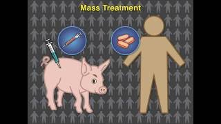 Eradicating Pork Tapeworm Transmission [upl. by Ylekalb]