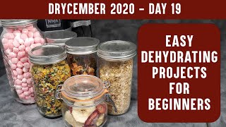 EASY DEHYDRATING PROJECTS FOR BEGINNERS Learn to Dehydrate with Easy Recipes  DRYCEMBER [upl. by Borden946]