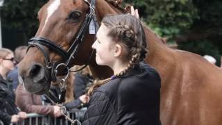 Paardenmarkt Beusichem 2016 [upl. by Eniamej]