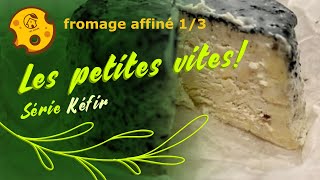 Comment faire un fromage de kéfir affiné 13 les petites vites [upl. by Warrin]