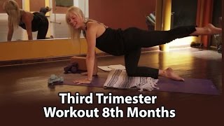 Third Trimester Workout 8th Months [upl. by Monia969]