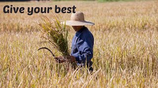 Harvest  Give Your Best  Tunbridge Wells Baptist Church [upl. by Querida]