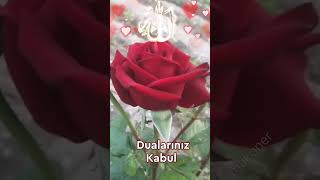 Hayırlı Cumalar İnşallah 🤲 En yeni Cuma Mesajları 🌷 Dini Videolar [upl. by Eceinej]