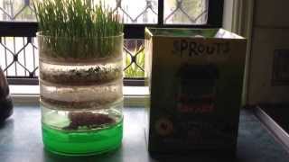 Indoor Garden  Kitchen Seed Sprouter  Product Review [upl. by Schell]