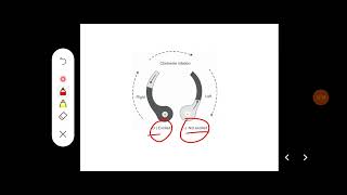 Q Describe mode of action of otoliths semicircular canals and their role in regulation of posture [upl. by Loella]