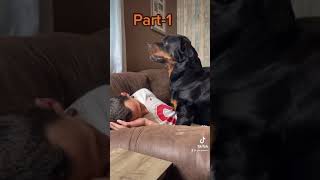 Playing with a Growling Rottweiler [upl. by Eirac]