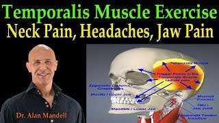 Temporalis Muscle Massage for Fast Pain Relief of Neck Head and Jaw  Dr Alan Mandell DC [upl. by Blount]