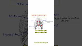 🎯 TIPS 4 FOCOS DE AUSCULTACIÓN CARDÍACA [upl. by Troxell]