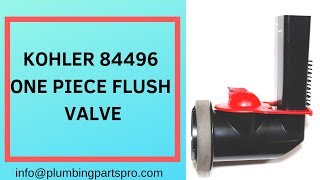 Kohler One Piece Toilet Flush Valve Replacement 84996 [upl. by Eilah284]