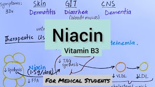 Niacin  Active Forms Functions Deficiency Manifestations Therapeutic Uses [upl. by Onia]