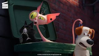 The Secret Life of Pets What do pets do when we leave HD CLIP [upl. by Flieger]