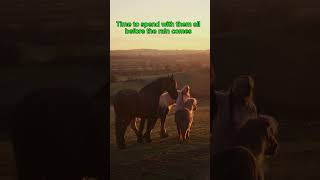 Spending time with the horses foryou shortsyoutube horse friesian minihorse [upl. by Reace12]