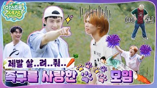 아스트로 세상 언제 끝나 그냥… 졌어 우리가🔥 드르륵 탁…⏪ EP3 [upl. by Silvano]