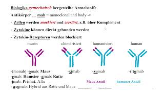 Pharmakologie Immunsystem  Skript Biologika in der Asthmatherapie [upl. by Avah36]