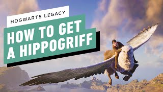 Hogwarts Legacy How to Get a Hippogriff [upl. by Nasaj]