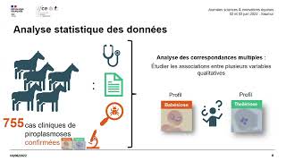 Piroplasmoses aiguës chez le cheval  comparaison clinique  Coralie Lupo [upl. by Jameson]