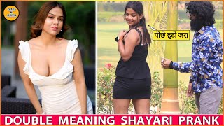 DOUBLE MEANING SHAYARI PRANK  EPISODE  76  FUNNY REACTIONS  DILLI K DILER [upl. by Aenet588]