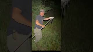 “Frog Gigging” outdoors frog hunting country froglegs [upl. by Angell]