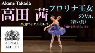 【ロイヤルバレエ】高田茜さんによる「フロリナ王女（青い鳥）」ブルーバードのVa 日本の星です！ballet バレエ royalballet [upl. by Incrocci]