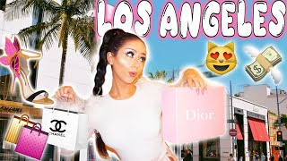 LOS ANGELES SHOPPING SPREE [upl. by Alana]