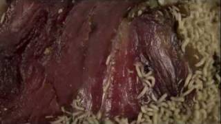 time lapse maggots eating meat HD [upl. by Beeson]