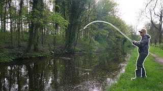 These Aggressive Canal Pike Were Going Wild Great Footage [upl. by Hermosa]