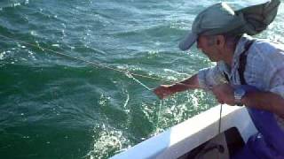 snapper fishing in Ceduna South Australia part 2 [upl. by Anaderol]