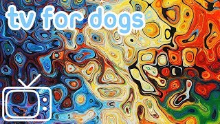 Videos for Dogs to Watch Abstract Chillout Dog TV Entertainment with Music [upl. by Atteinotna]