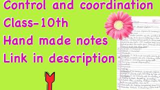 Control and Coordination pdf hand made notes  class 10 science  CBSE  human brain endocrine gland [upl. by Ingemar]