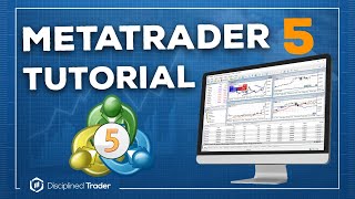 Complete MetaTrader 5 Tutorial For Beginners  2024 Edition [upl. by Maida]