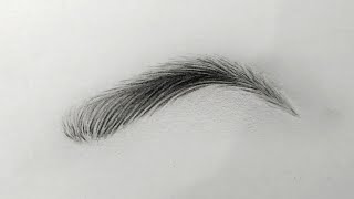 how to draw eyebrows  perfect eyebrow  eyebrow drawing with graphite pencil  drawing [upl. by Iclek]