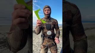 Crab diving gear talk [upl. by Swenson]