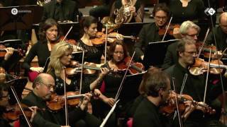 Wagner Der Ring des Nibelungen arr De Vlieger  Radio Filharmonisch Orkest  Live concert HD [upl. by Shornick408]