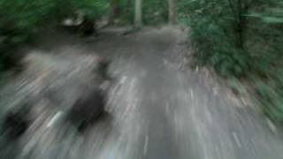 Patapsco Valley State Park  Soapstone Trail  VIO POV 15 [upl. by Aynek]