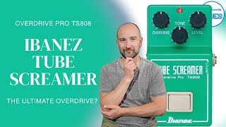 Ibanez Tube Screamer Overdrive Pro TS808  How it REALLY Sounds [upl. by Salhcin426]