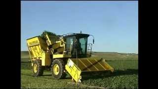 Spinach Harvester  Oxbo 2470  Sweere [upl. by Engeddi]