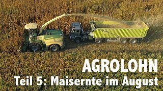 Lohnunternehmen Agrolohn Maisernte im August [upl. by Sheley]