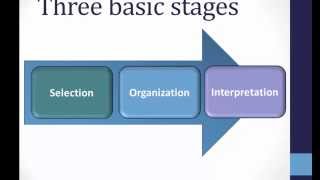 Perception Basics [upl. by Aker]